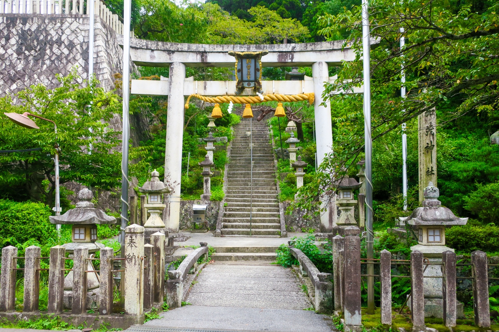 緑に囲まれた加茂神社別雷皇宮の鳥居と石段