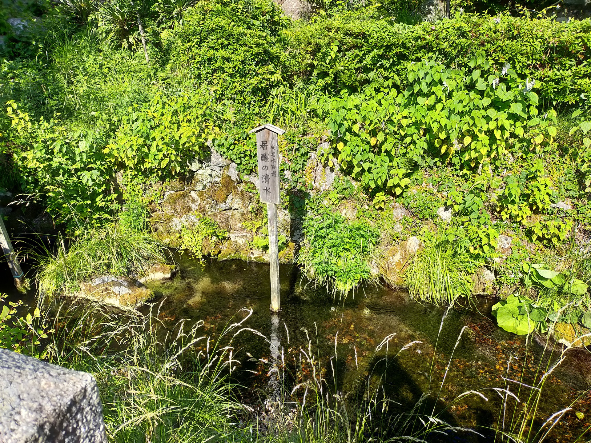 居醒の清水を示す木札と湧水
