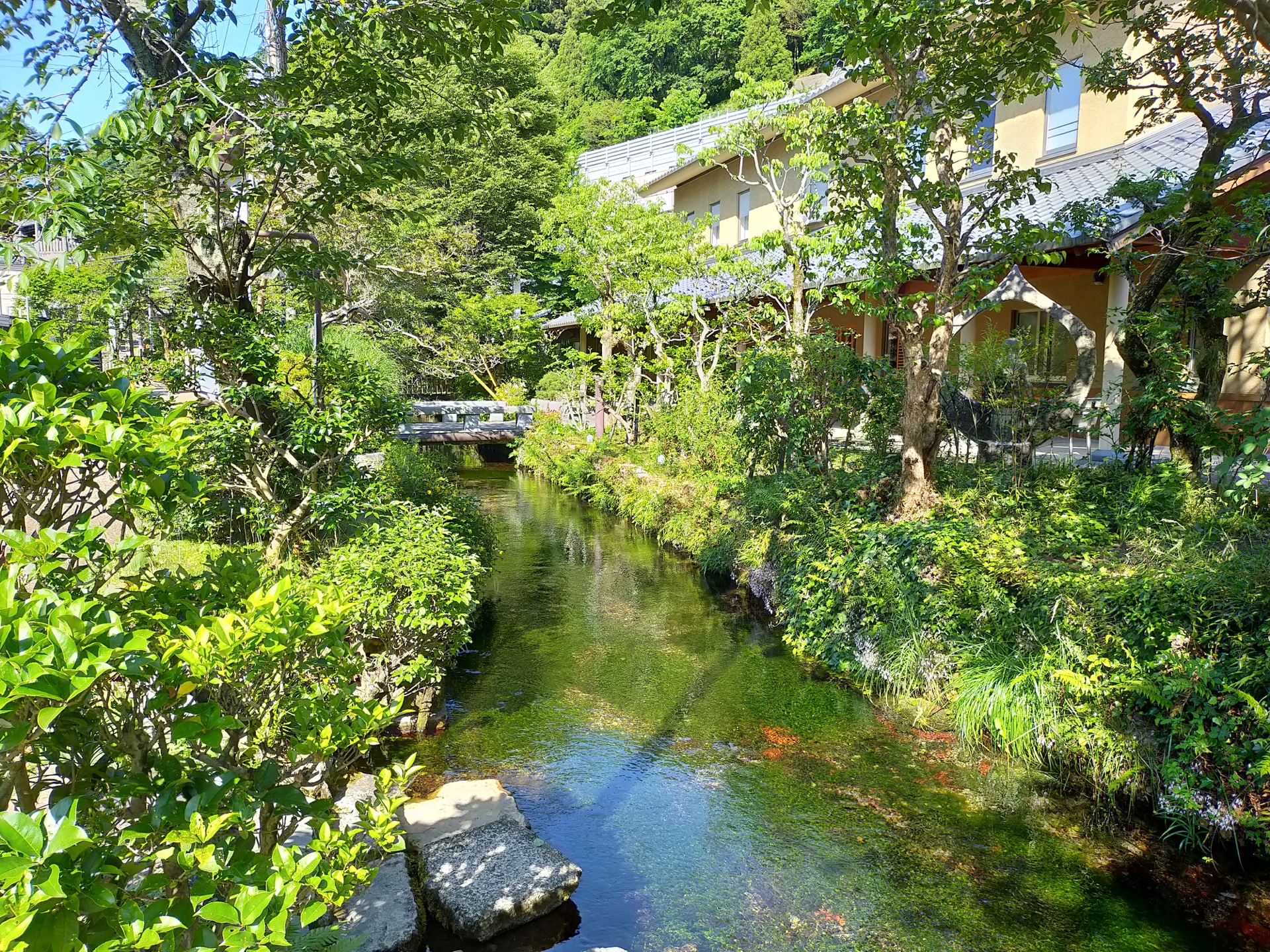 庭の緑と家並みに寄り添って流れる醒井宿の地蔵川
