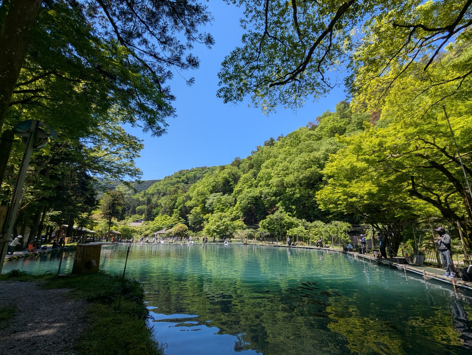 新緑の山と青空を映す醒井養鱒場の大きな池